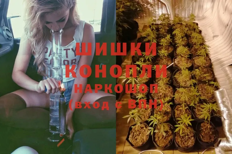 как найти наркотики  darknet наркотические препараты  Бошки марихуана Ganja  Жиздра  kraken зеркало 